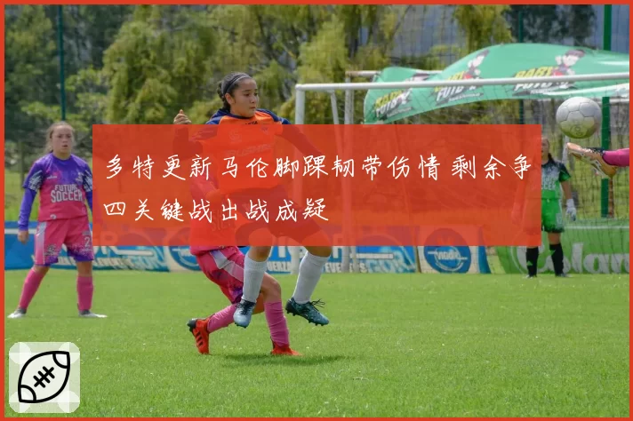 多特更新马伦脚踝韧带伤情 剩余争四关键战出战成疑