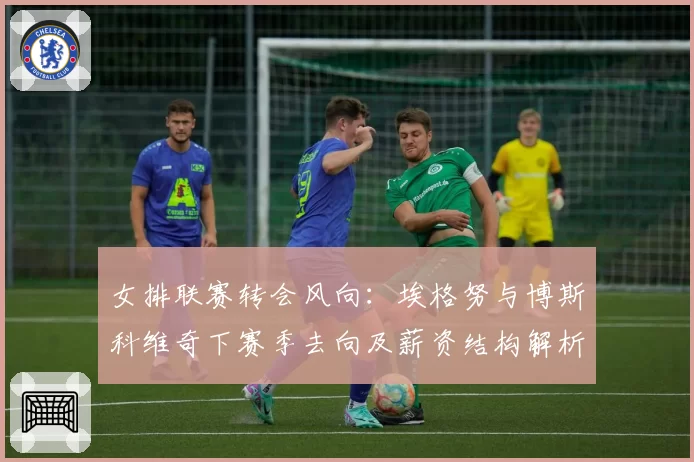 女排联赛转会风向：埃格努与博斯科维奇下赛季去向及薪资结构解析