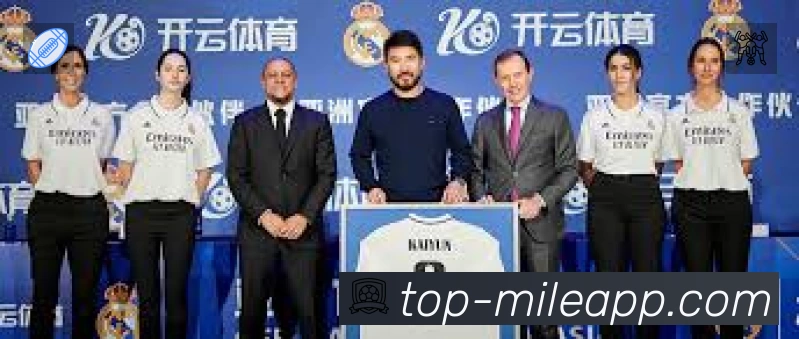 米乐M6MILE赛事入口体系与导航结构
